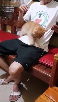 marunong mag massage ang pusa namin