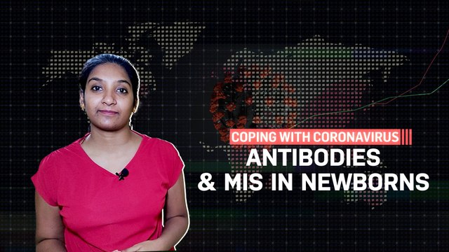 Covid Tracker | Antibodies detected in newborns, babies susceptible to MIS