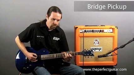 ESP/LTD EC200QM [theperfectguitar]