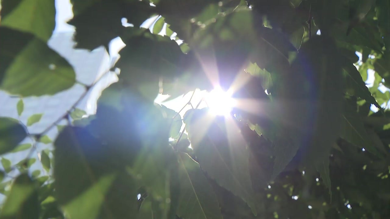 [날씨] 주말∼휴일 다시 초여름, 서울 30℃...일부 소나기 / YTN