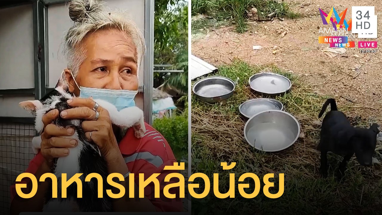 นางฟ้าหมาแมวเจอพิษโควิด ไร้งานต้องลดอาหารของสัตว์ | ข่าวเที่ยงอมรินทร์ | 11 มิ.ย.64