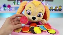 Paw Patrol Baby Skye Plays The Matching Cookies Game!