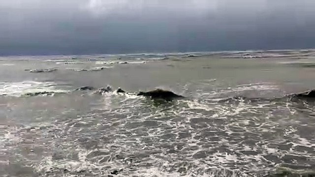 Cyclone Yaas Old Digha ,Talasari,Chandipur in Deu to Rain fall