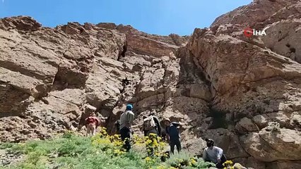 Defineciler 3 bin rakımdaki mağarayı tahrip etti