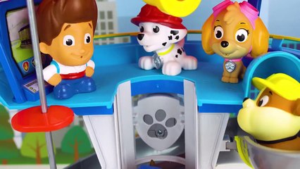 Learn Colors And Shapes With Paw Patrol Cupcakes!