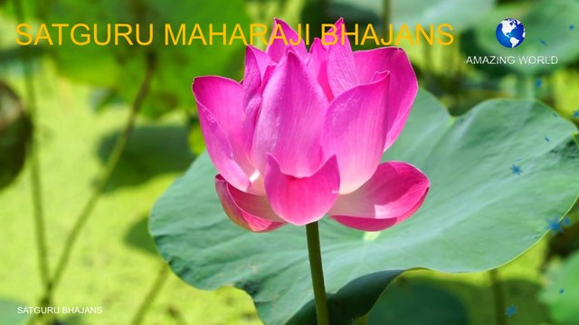 सतगुरु महाराजी भजन | Prem rawat bhajan | Satguruji tere dar aaye hai bhajans | Satguru maharaji bhajans | Guru maharaji bhajan