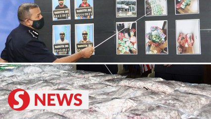 Descargar video: Cops arrest four drug syndicate members, seize drugs worth almost RM2mil