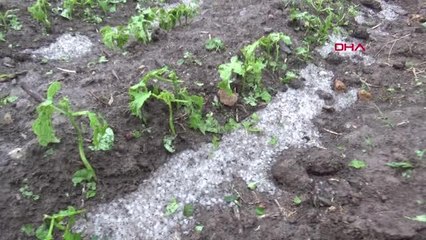 AFYON'DA DOLU TARIM ARAZİLERİNE ZARAR VERDİ