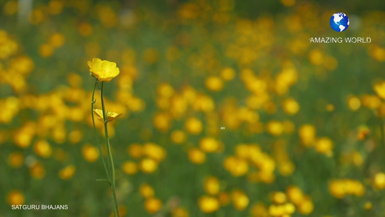 Prem rawat bhajans Satguruji daras dikhao ji hindi hd bhajans