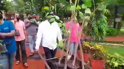 women's neem peepal vat vriksh plantation in garden
