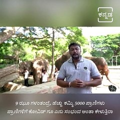Darshan's Video For Adoption Of Zoo Animals Gets Tremendous  Response By The Fans