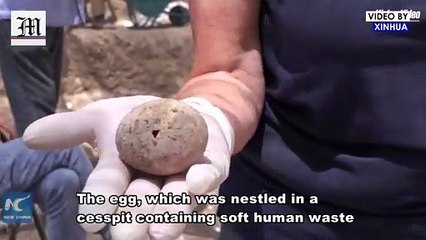 Israel discovers 1,000-year-old intact chicken's egg