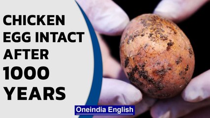 Video herunterladen: Israel: Chicken egg intact even after 1000 years in human faeces | Oneindia News