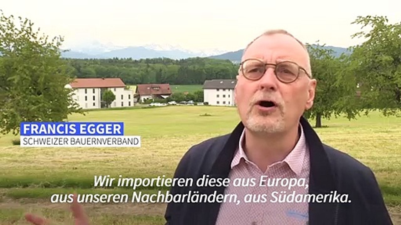 Referendum über Pestizide erhitzt die Gemüter in der Schweiz