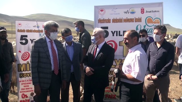 VAN - 16 besiciye 1600 küçükbaş hayvan desteği sağlandı