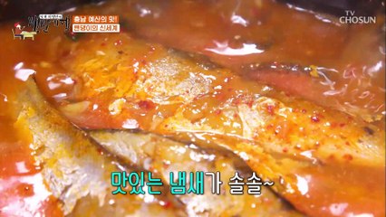 ‘밴댕이 찌개’를 쌈밥 같이!? 밴댕이의 새로운 발견~✧ TV CHOSUN 20210611 방송