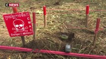 Cambodge : des rats dressés pour détecter les vieilles mines antipersonnel