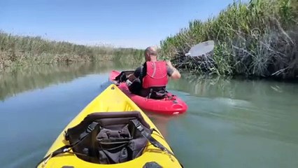 Скачать видео: ESKİŞEHİR - İç Anadolu'nun batısında gizli kalmış bir kuş cenneti: Balıkdamı