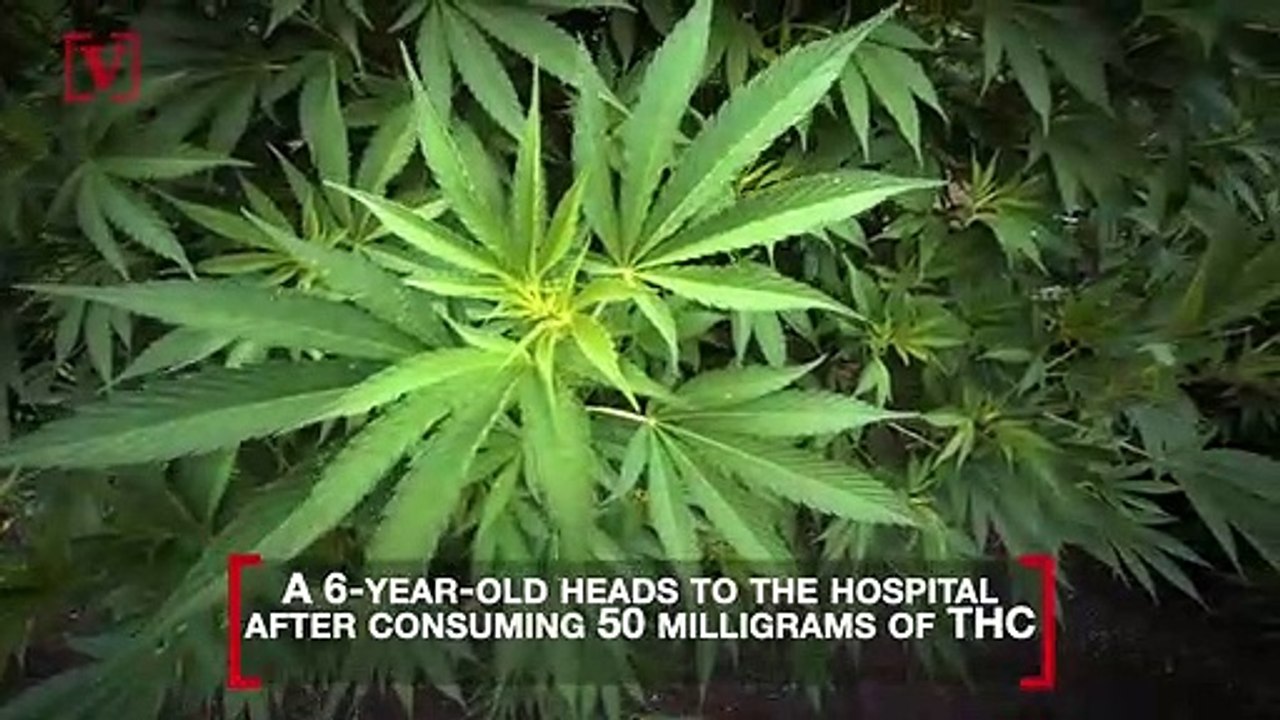 6-Year-Old Hospitalized After Eating Weed Gummy