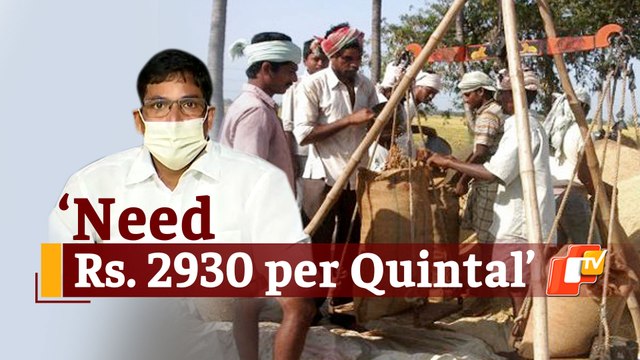 Odisha Government Urges Centre To Increase MSP For Paddy