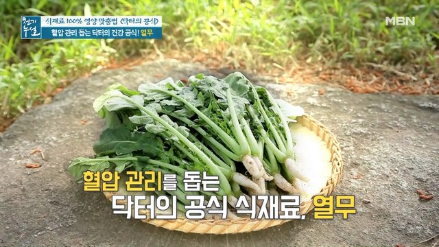 혈압 관리 돕는 닥터의 식재료 '열무'