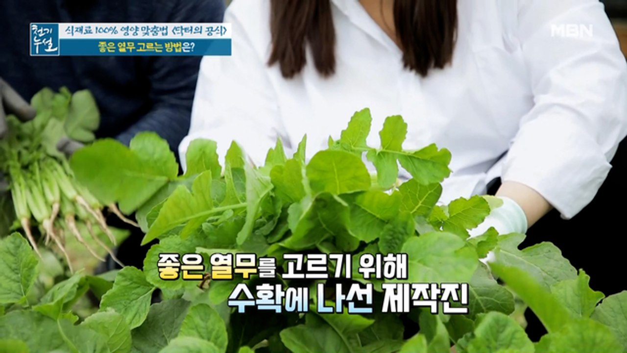 다가오는 여름! 혈압엔 열무! 좋은 열무 고르는 법