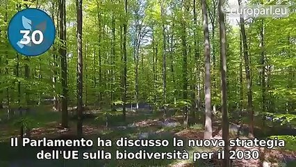 Il videoriassunto della plenaria del Parlamento europeo di giugno