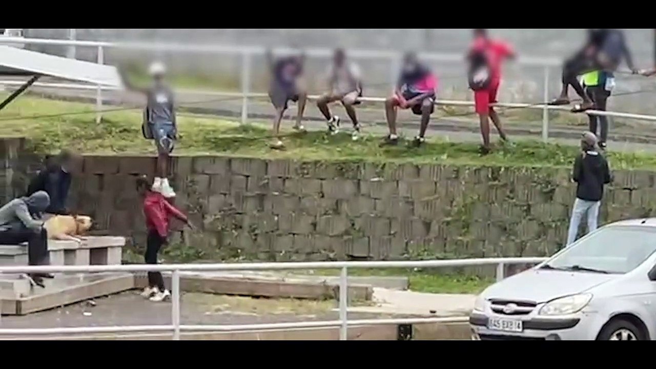 Vidéo - St-Denis : Des collégiens martyrisent-ils encore un chien?