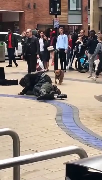 Un chien vient séparer 2 hommes ivres... à sa façon