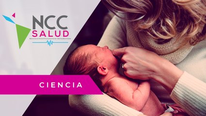 Primer lote de la vacuna Sputnik V es fabricado en Argentina