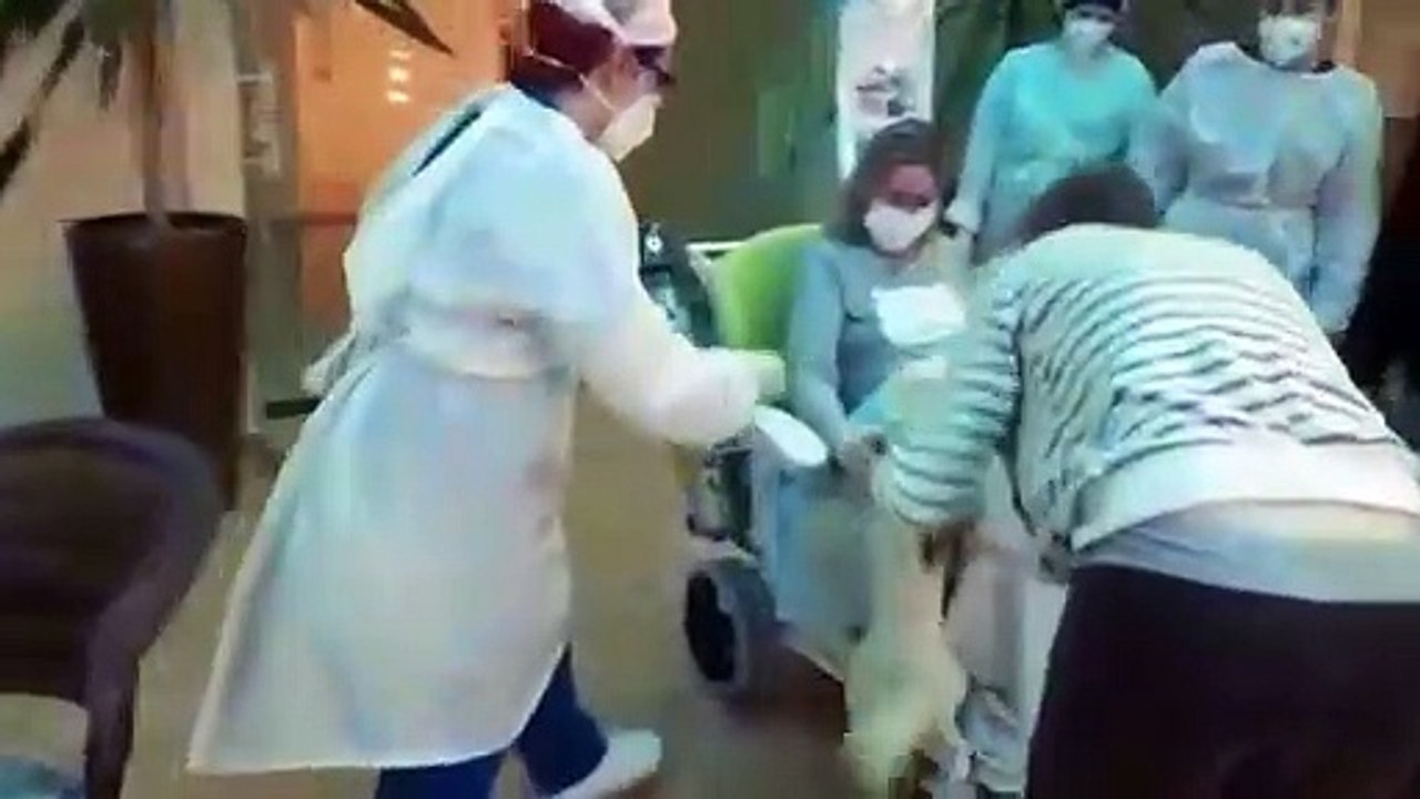 Mulher internada na UTI reecontra cachorro de estimação no hospital