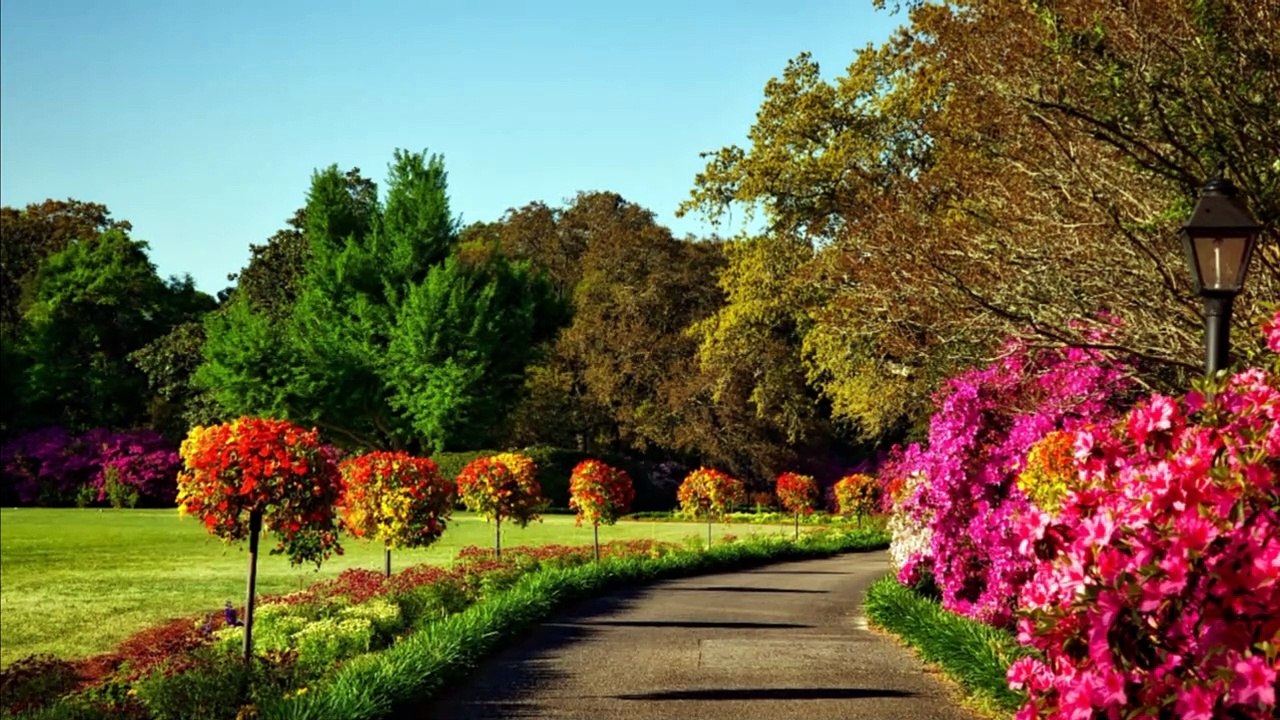 beautiful nature in the world is so beautiful