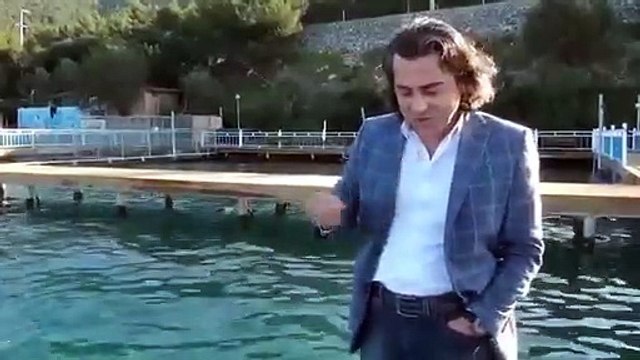 Horon oynayan Karadenizli yunus balığı...