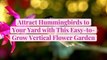 Attract Hummingbirds to Your Yard with This Easy-to-Grow Vertical Flower Garden