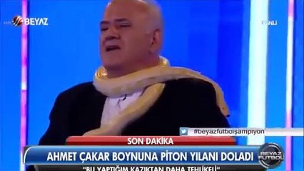 Ahmet Çakar canlı yayında pitonu boynuna doladı