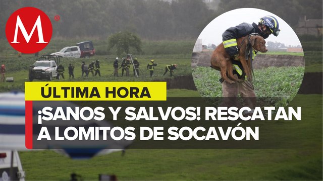 Rescatan a perritos atrapados en el socavón gigante de Puebla