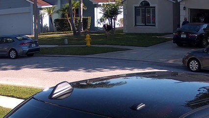 Neighbor Throws Knife