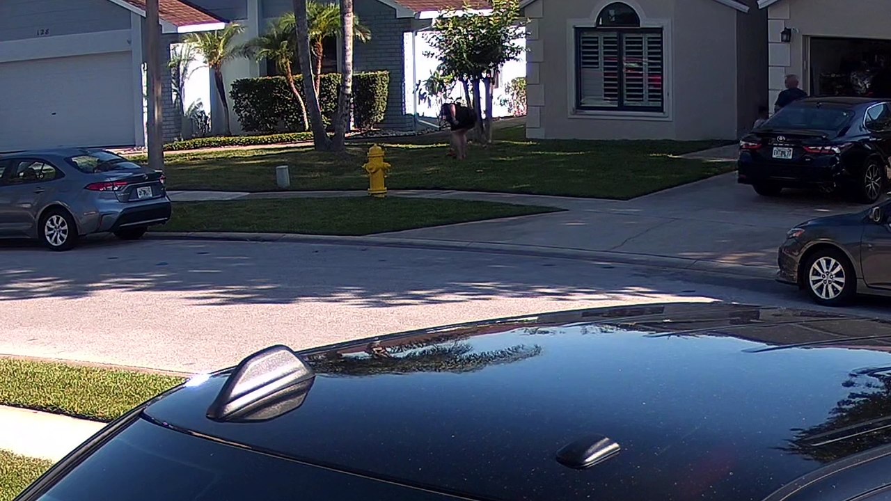 Neighbor Throws Knife