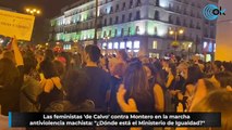 Las feministas 'de Calvo' contra Montero en la marcha antiviolencia machista: 