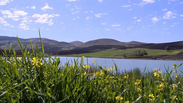 تنويع مصادر الدخل تحد كبير يواجه الجزائر