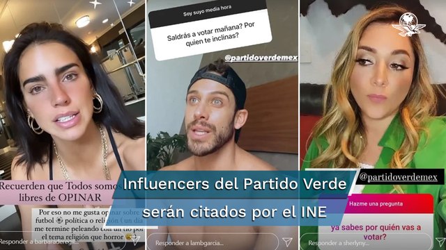 INE investiga a 95 personas por el apoyo de influencers al Partido Verde