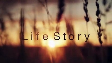 Adorable Lion Cubs Frolic as their Parents Look On