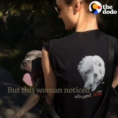 This Pit Bull Wags Her Tail SO Hard No Matter What