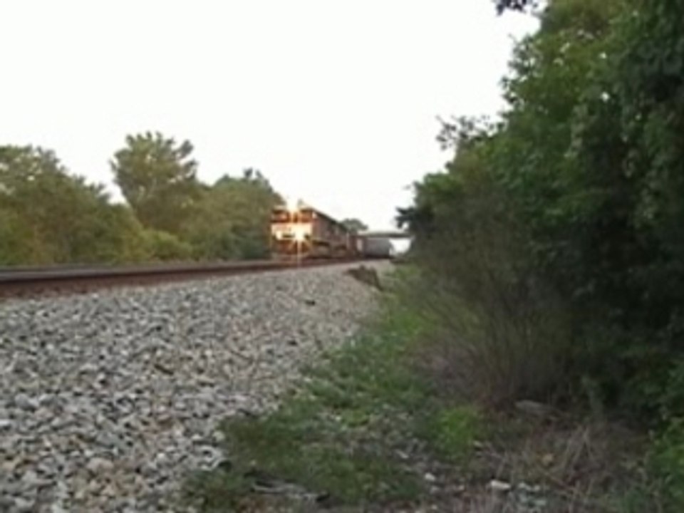 NS 233
