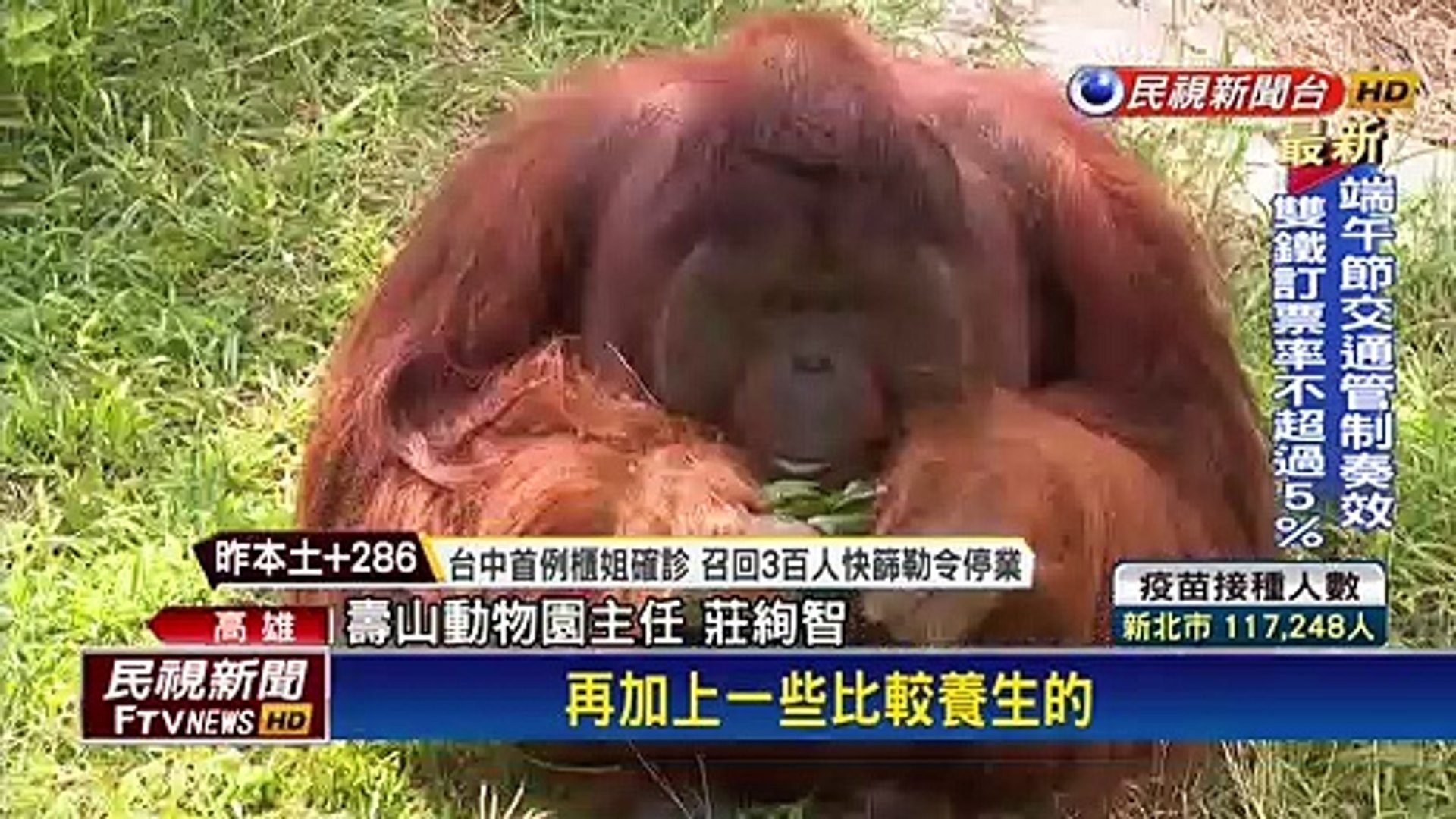 壽山動物園慶端午　動物們大啖美味水果粽