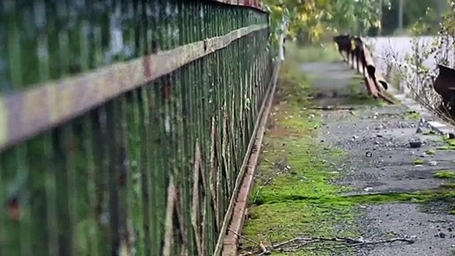 Climbing Around Inside the Walls from Omega Circuits ( Sketches w​:​the Akai Timbre Wolf ) by Caalamus