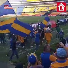 Así recibieron a Florian Thauvin en Tigres