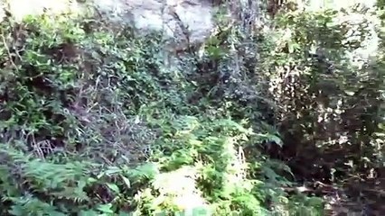 Primitive Technology- Firesticks