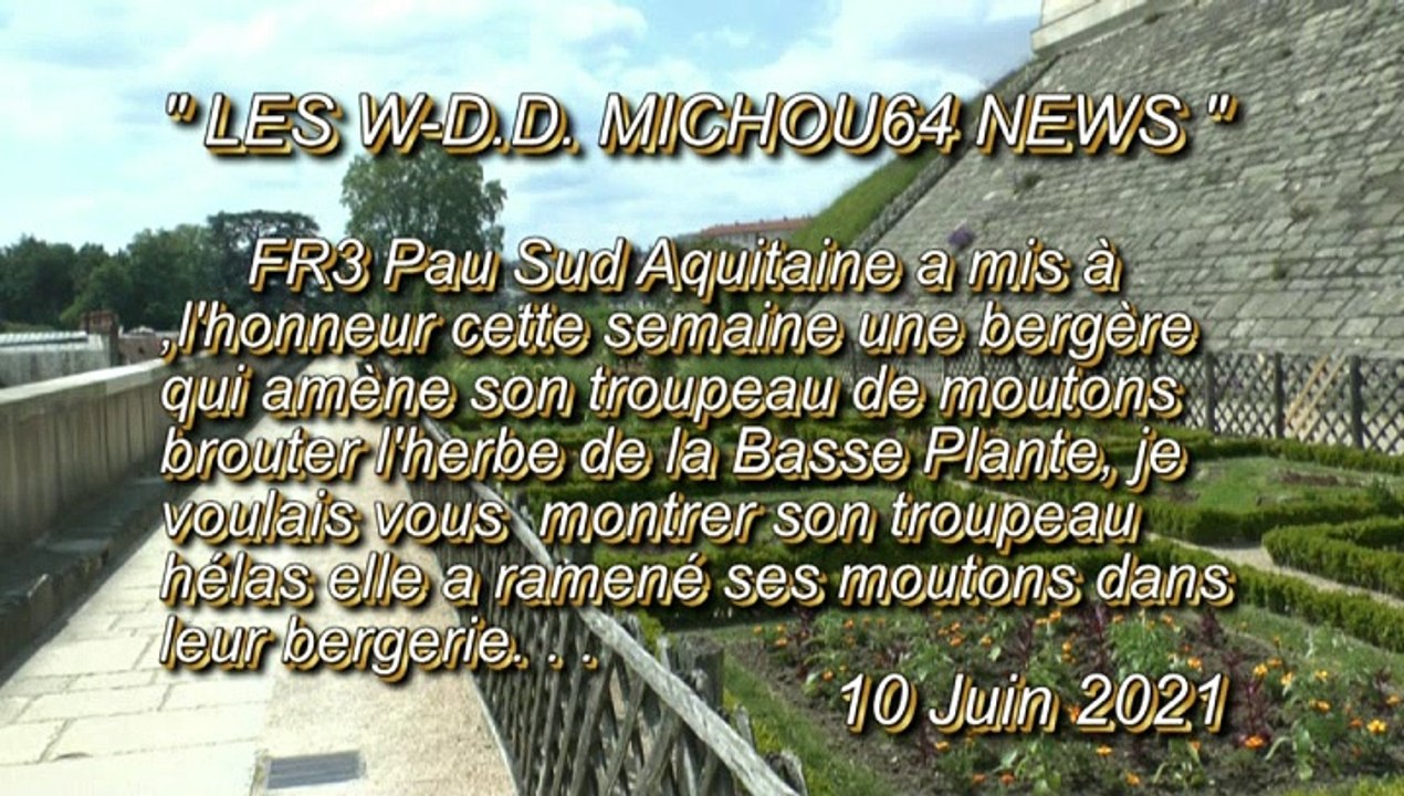 LES W-D.D. MICHOU64 NEWS - 10 JUIN 2021 - PAU - À LA RECHERCHE DES MOUTONS DE LA BASSE PLANTE