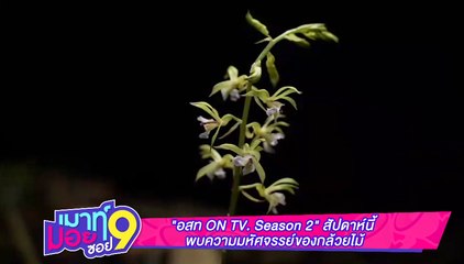 เมาท์มอยซอย 9 : “อสท ON TV. Season 2” สัปดาห์นี้ พบความมหัศจรรย์ของกล้วยไม้